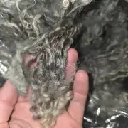 Gotland lambswool 428g image 1