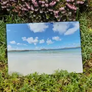 Glass Placemat Reef Beach image 3