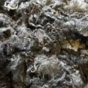 Gotland lambswool 662g image 3
