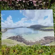 Glass Placemat Shell Beach image 3