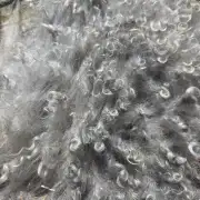 Gotland fleece image 16