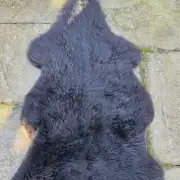 Hebridean Sheepskin image 3