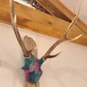 Tweed covered mini stag skull image 6