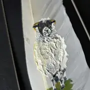 Sheep painted on a goose feather image 2
