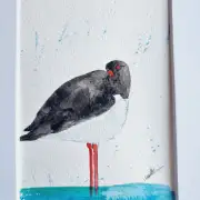 Mini Original Watercolour of an oystercatcher image 1
