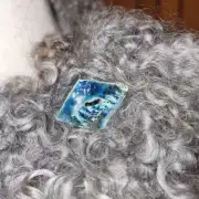 Felted wool collar - gotland image 2