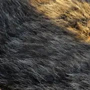 Herdwick Sheepskin image 2
