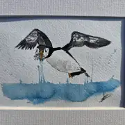 Mini Original Watercolour of a puffin image 2