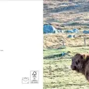 Greetings cards pack of 6 - Hebridean image 5