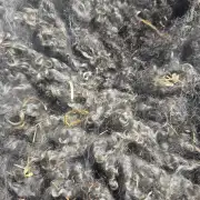 Gotland fleece image 7