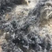 Gotland fleece image 17