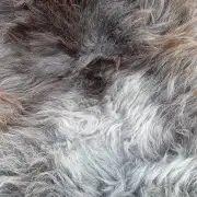 Herdwick Sheepskin image 2