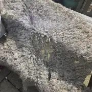 Gotland fleece - whole image 1
