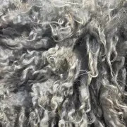 Gotland fleece image 10