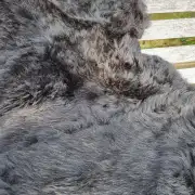 Hebridean Sheepskin image 2