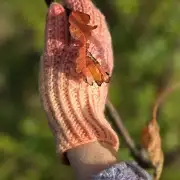 Hand dyed gloves - M image 2