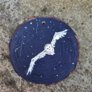 Barn owl on wood slice image 1