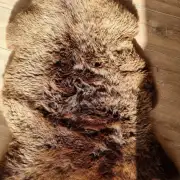 Mule Sheepskin image 2
