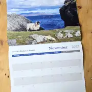 2027 Calendar - sheep and dogs image 12