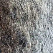 Herdwick Sheepskin image 7