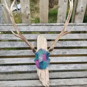 Tweed covered mini stag skull image 1
