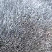 Zwarble Sheepskin image 2