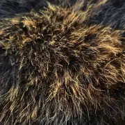 Herdwick Sheepskin image 3