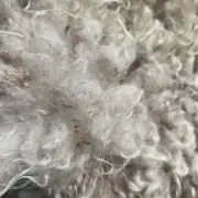 Gotland fleece image 4