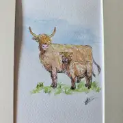 Mini Original watercolour of a heiland coo image 1
