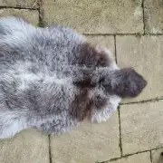 Herdwick Sheepskin image 2