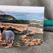 Greetings cards pack of 6 - Hebridean image 12