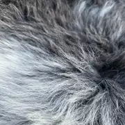Herdwick Sheepskin image 2