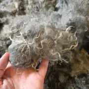 Gotland lambswool 662g image 12