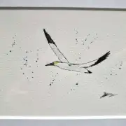 Mini Original Watercolour of a Gannet image 1