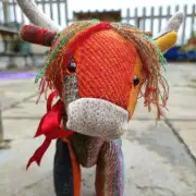 Tweed Heilan Coo made to order image 4