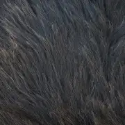 Hebridean Sheepskin image 6