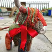 Tweed Heilan Coo made to order image 5