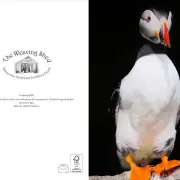 Greetings cards pack of 6 - Hebridean image 4