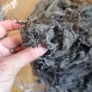 Gotland lambswool 350g image 7