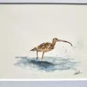 Mini Original Watercolour of a curlew image 1