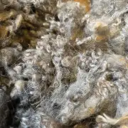 Gotland lambswool 324g image 5