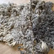 Gotland fleece 680g image 1