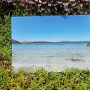 Glass Placemat Bosta Beach image 3