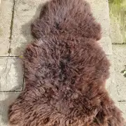 Hebridean Sheepskin image 2