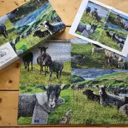 'The Sheep' Puzzle - available now! image 2