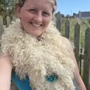 Felted wool collar - gotland image 1