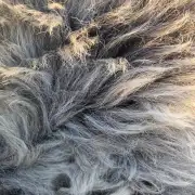 Hebridean X Sheepskin image 2
