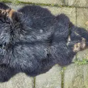 Hebridean Sheepskin image 8