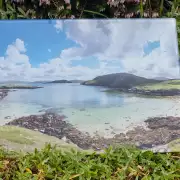 Glass Placemat Shell Beach image 1