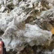 Gotland lambswool 662g image 11
